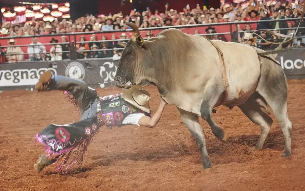 Yan Victor Santos é derrubado pelo touro Gatilho na final do Rodeio de Barretos 2023 — Foto: Érico Andrade/g1