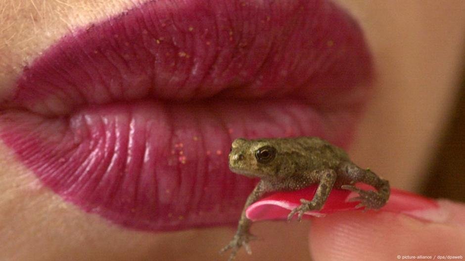 11 Fatos divertidos sobre beijo - DW - 18/03/2025