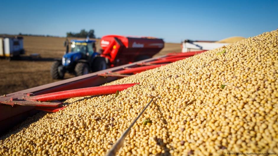 A Agricultura dos EUA pode resistir a uma guerra comercial com a China? - DW - 31/03/2025