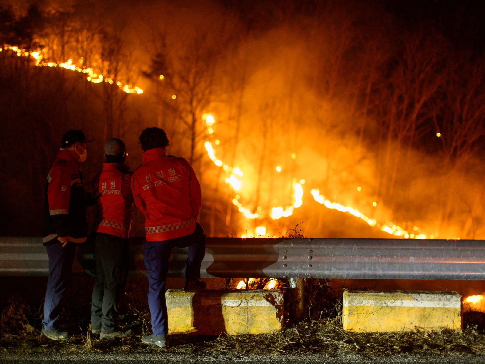 A Coréia do Sul diz que os incêndios florestais em sua história, o número de mortos aumenta para 26 | Notícias da vida selvagem