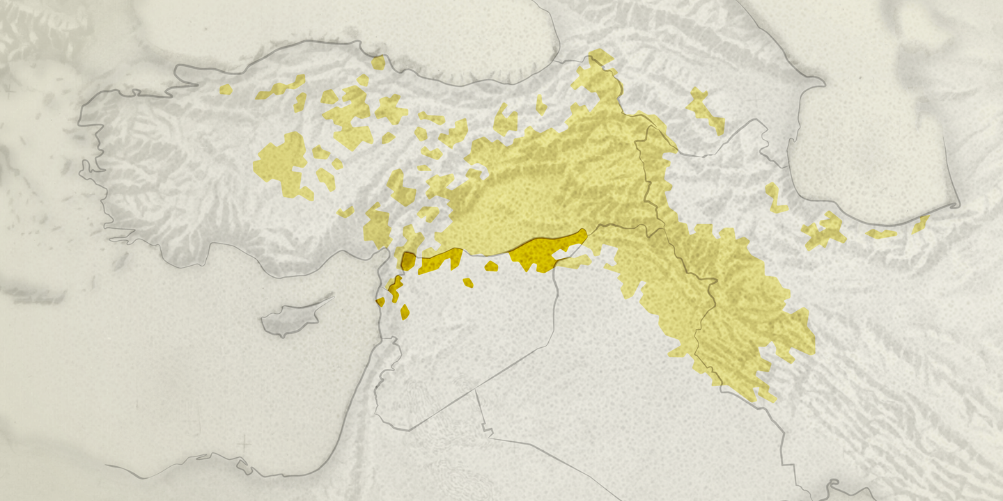 A infinita guerra dos curdos da Síria