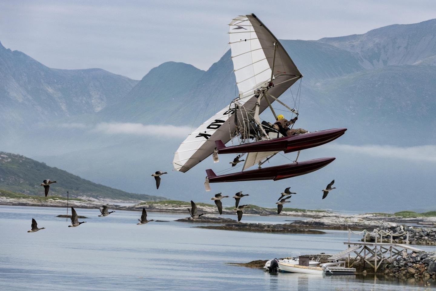 Após a destruição de ninhos de flamingos, a produção do filme "Give Me Wings", de Nicolas Vanier, no tribunal
