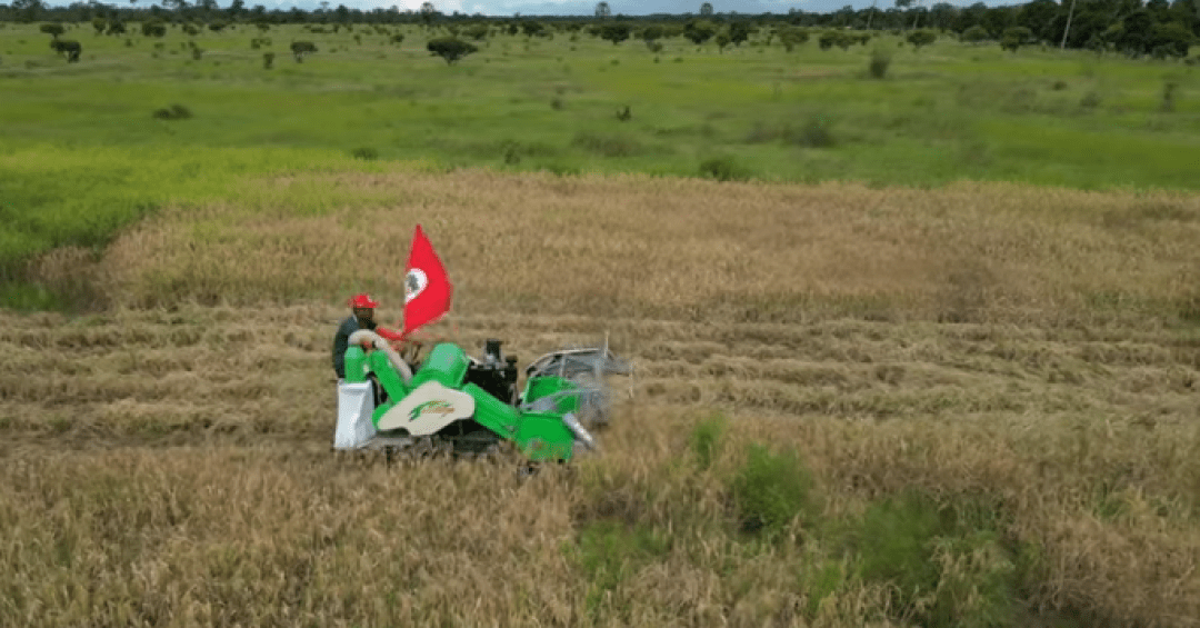 Comitiva de parlamentares do MST visita China