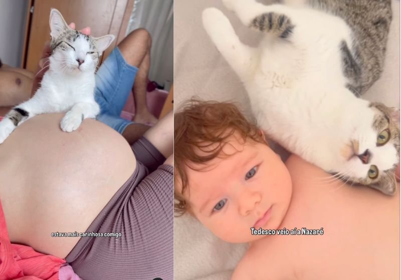 O idoso José, de 75 anos, reencontra a mãe de 90 anos, depois de 50 anos desaparecido. Ele estava vivendo nas ruas. - Foto: Prefeitura de Guarujá