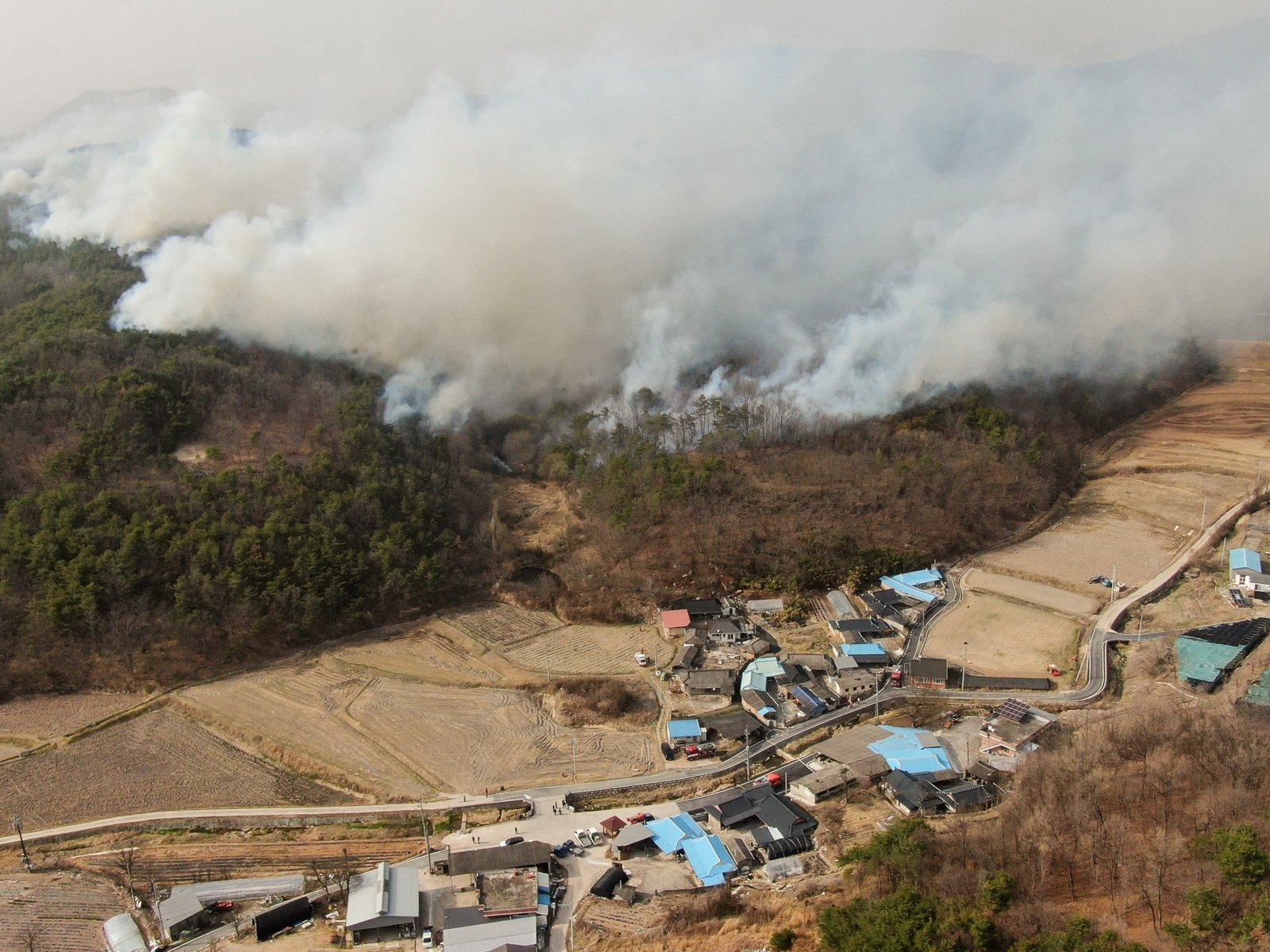 Incêndios florestais matam 19 e deslocam milhares na Coréia do Sul | Notícias das fotos