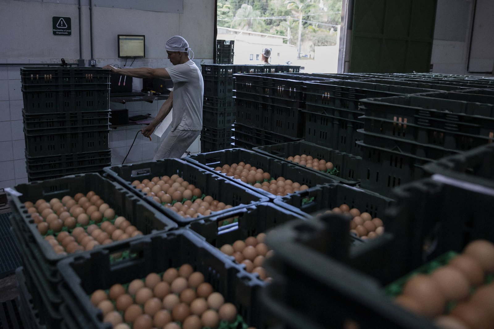 'Isso é incompetência do governo ou sabotagem do agro?', questiona leitor sobre altos preços de alimentos - 12/03/2025 - Painel do Leitor