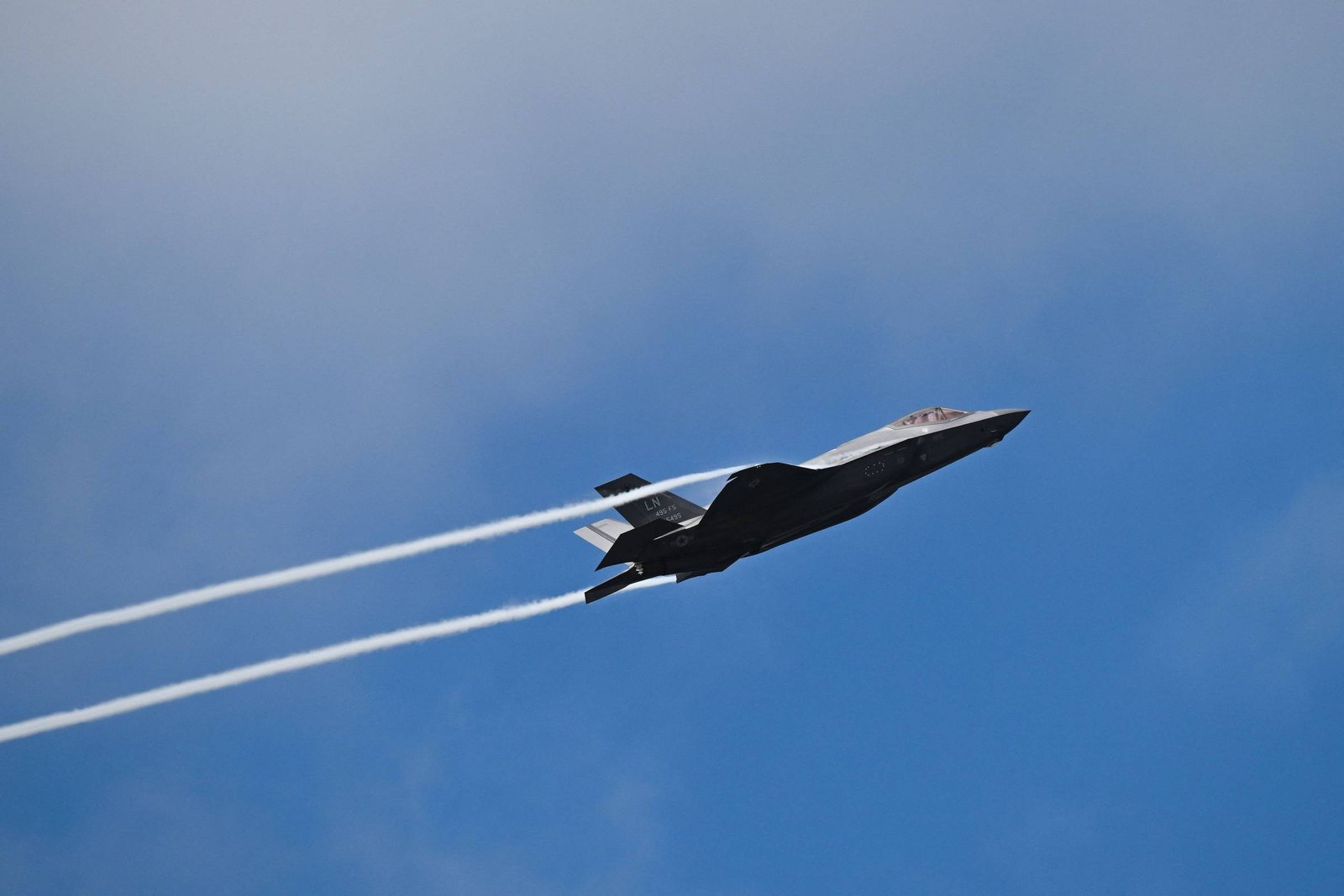 Juíza anula pena de militar que postou foto de caça - 07/03/2025 - Painel