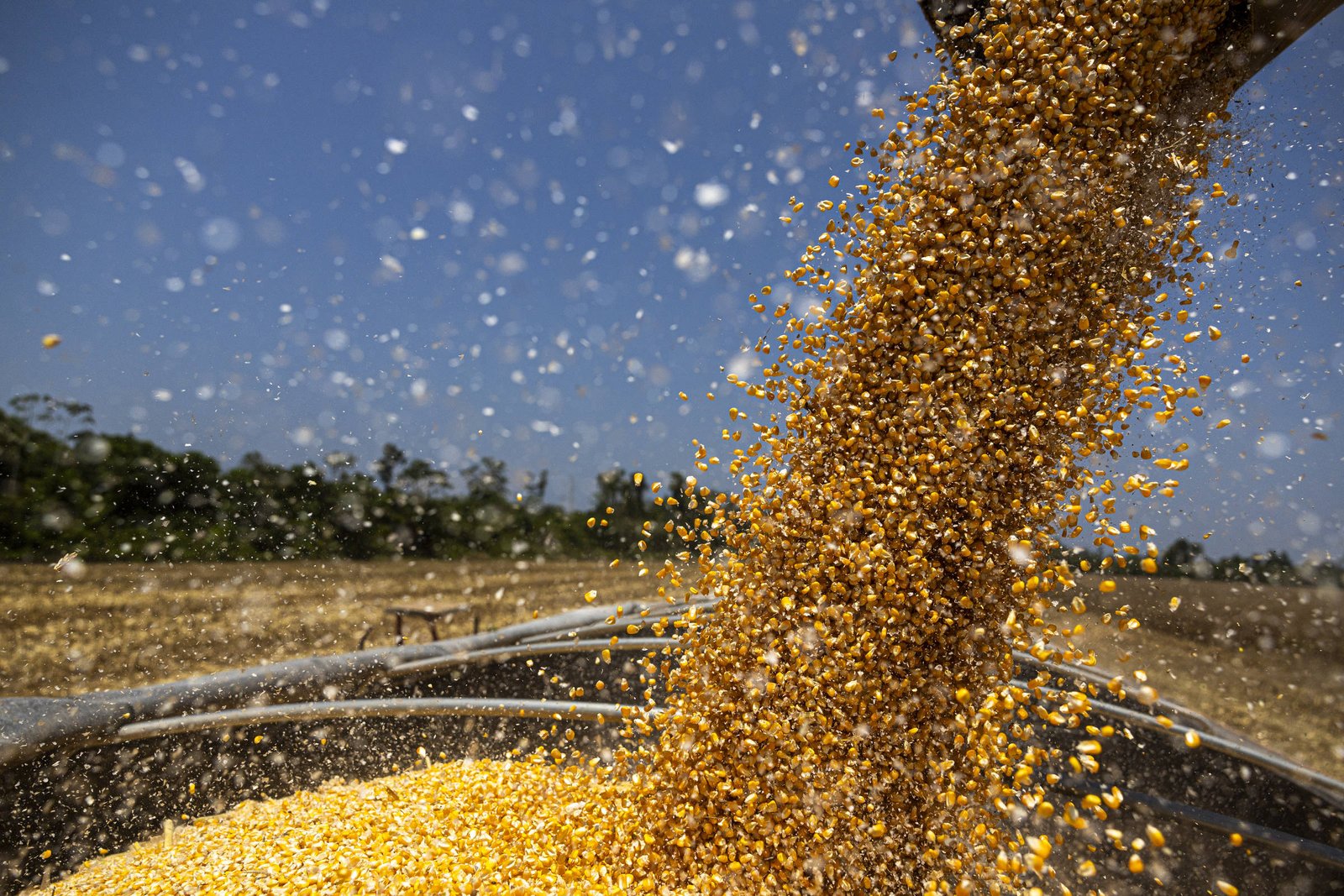 Medida para baratear alimentos é inócua, diz associação - 06/03/2025 - Mercado