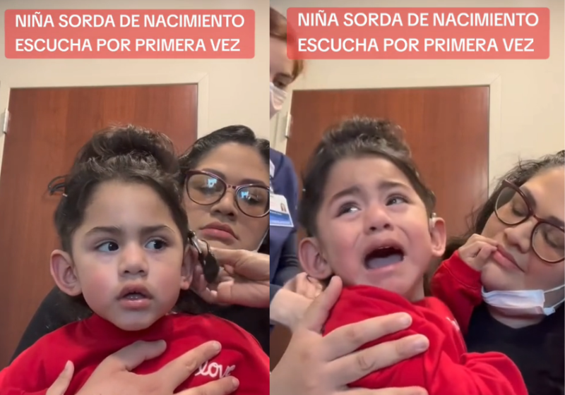 O idoso com Alzheimer, aos 86 anos, lembrou de seu cãozinho Campeiro. Que fofo! - Foto: @deapeople/TikTok