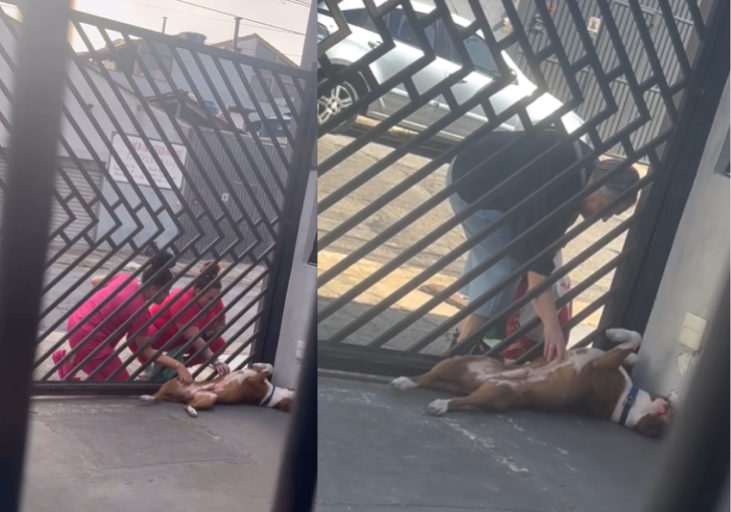 Aposentados e pensionistas que ganharam ações contra o INSS, de pequeno valor na Justiça, em fevereiro deste ano, podem receber de uma só vez até 60 salários mínimos. Foto: Agência Brasil