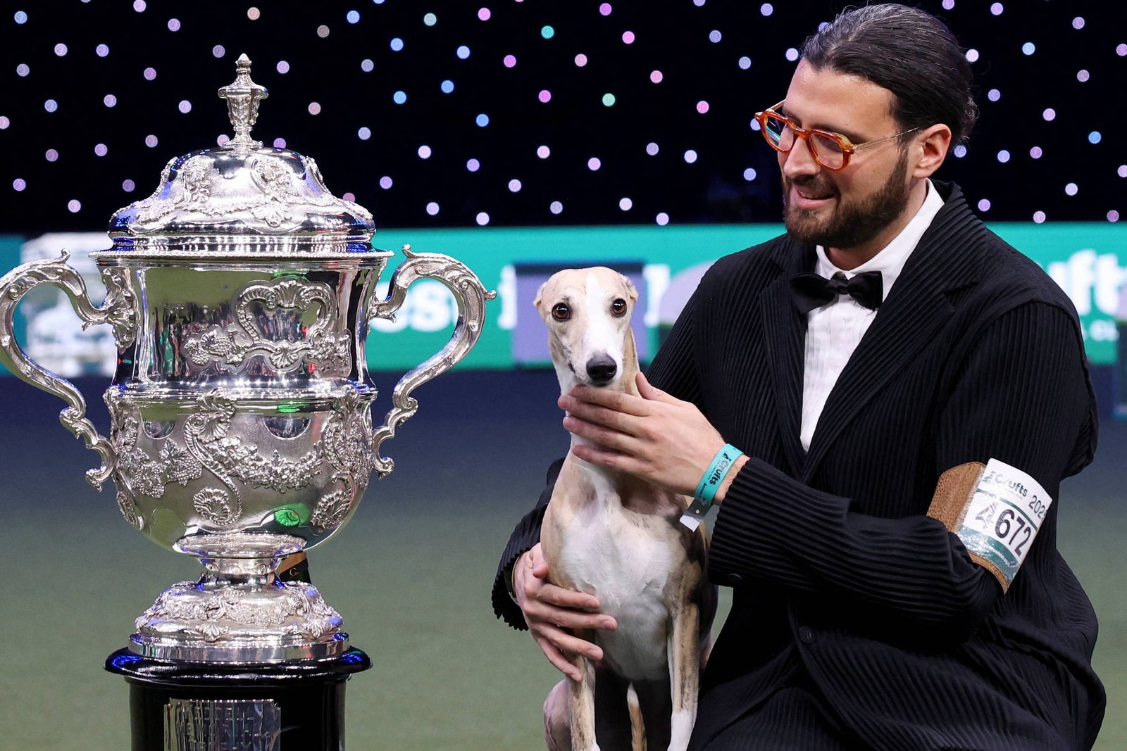 Miuccia da raça galgo italiano ganha competição canina - 13/03/2025 - Bichos