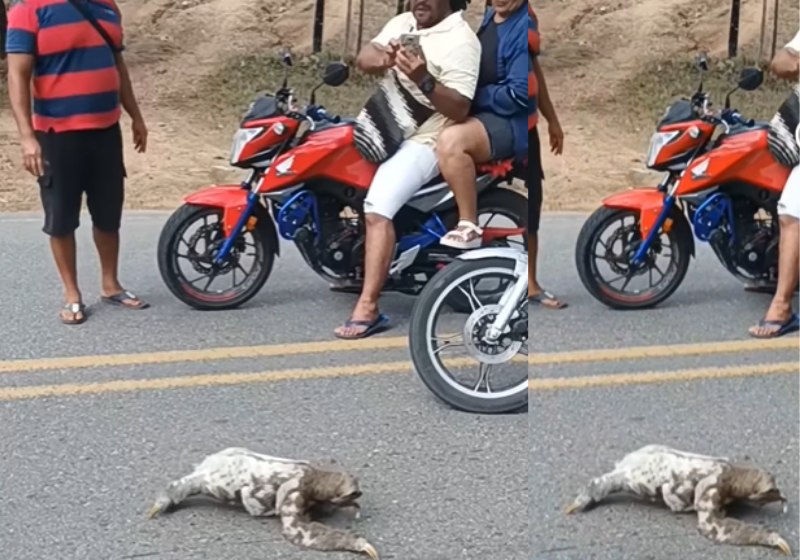 O lutador brasileiro Joab Ferreira conquista ouro no jiu-jitsu na Flórida, EUA. Sem dinheiro, ele vendia paçoca e dormia na academia para conseguir treinar. – Foto: @j0tareis