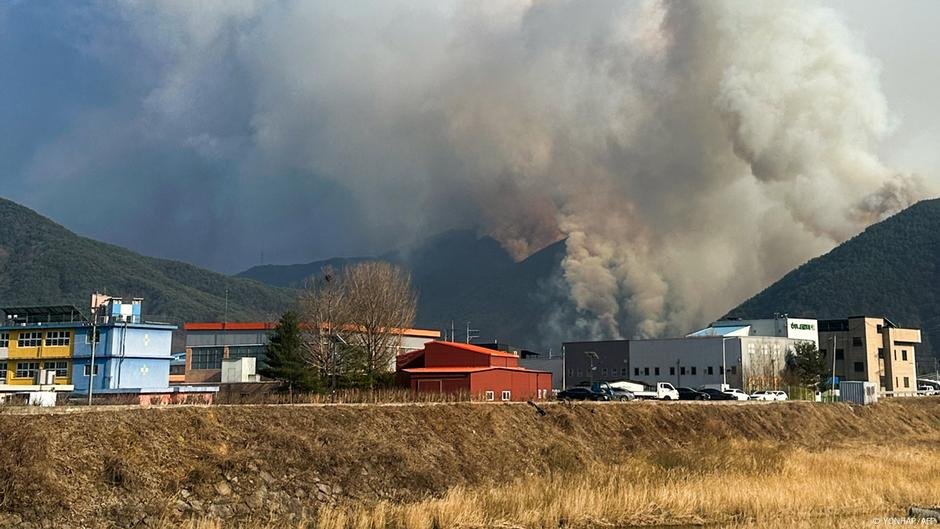 Os incêndios florestais na Coréia do Sul ficam mortais, evacuações rápidas - DW - 22/03/2025