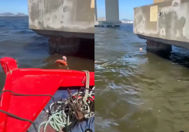 O homem, seu Divino, dá mamadeira na boca do Príncipe, o cachorro adulto resgatado das ruas de São Paulo. A cena é puro amor. - Foto: @vaniedivino/TikTok