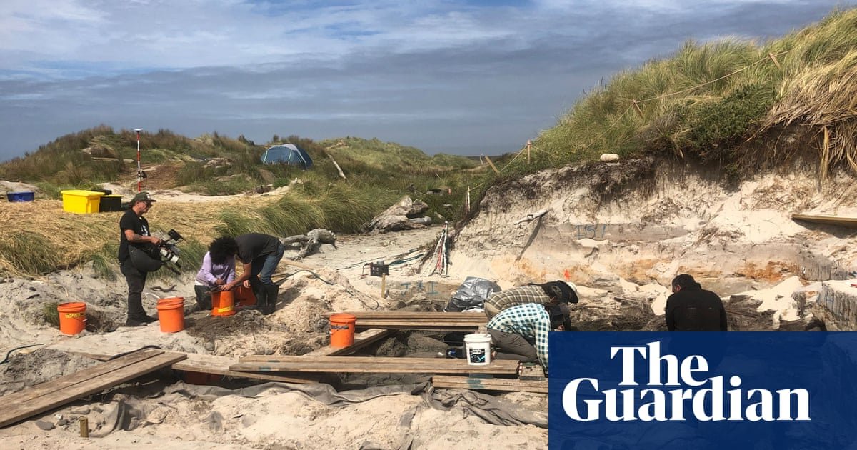 Restos de canoa esculpida podem ser a descoberta mais significativa desse tipo, diz o arqueólogo da Nova Zelândia | Nova Zelândia