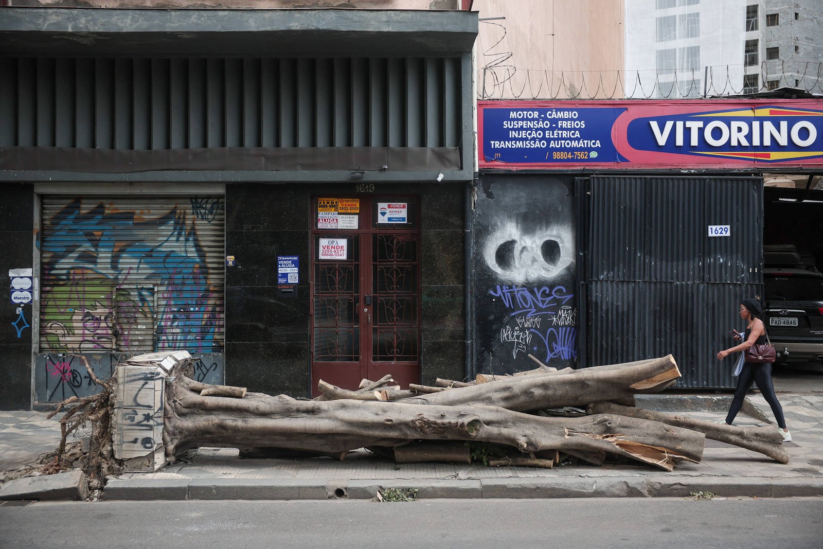 SP: árvores caídas em temporal ainda não foram recolhidas - 17/03/2025 - Cotidiano