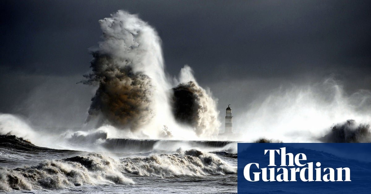 Surf Primordial: 'Microlightning' em Mist pode ter despertado a vida na Terra, o estudo encontra | Evolução