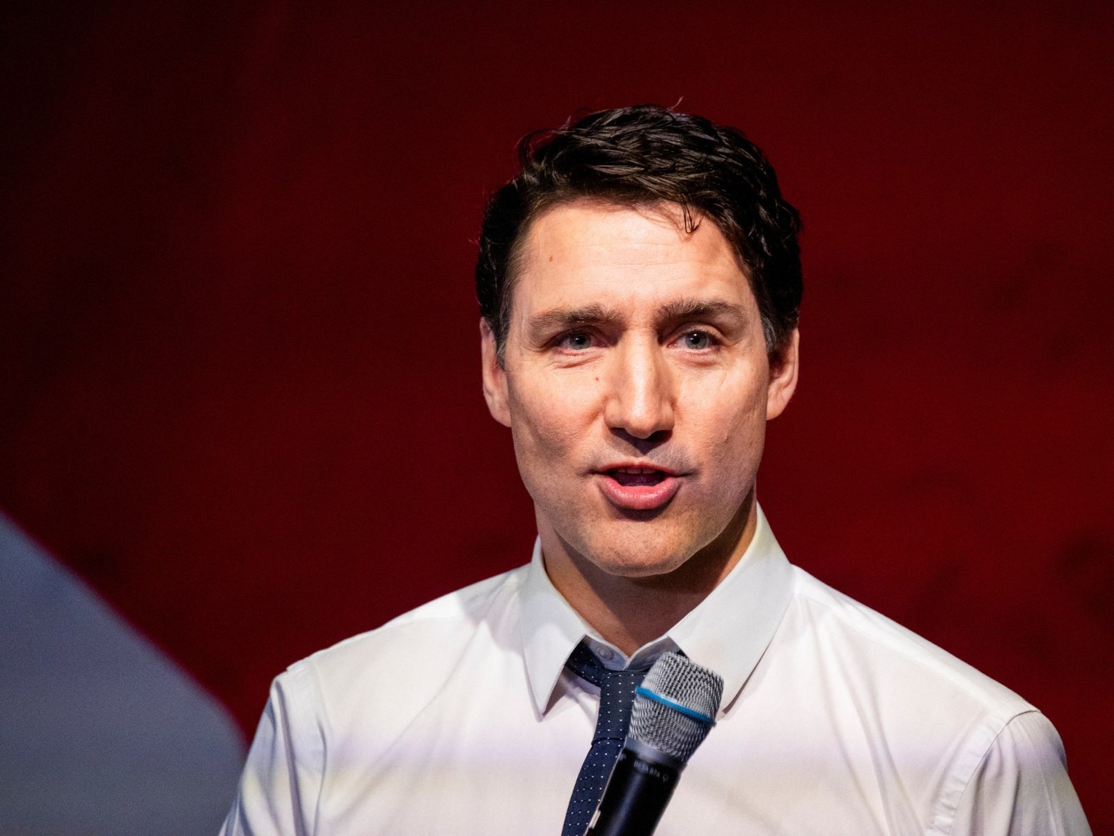 Trump novamente espalha alegações infundadas sobre Trudeau, eleição do Canadá | Donald Trump News