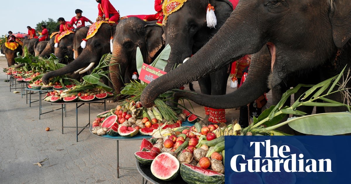 Um buffet de elefante, uma geleira derretida de Lowry e Quênia: fotos do dia - quinta -feira