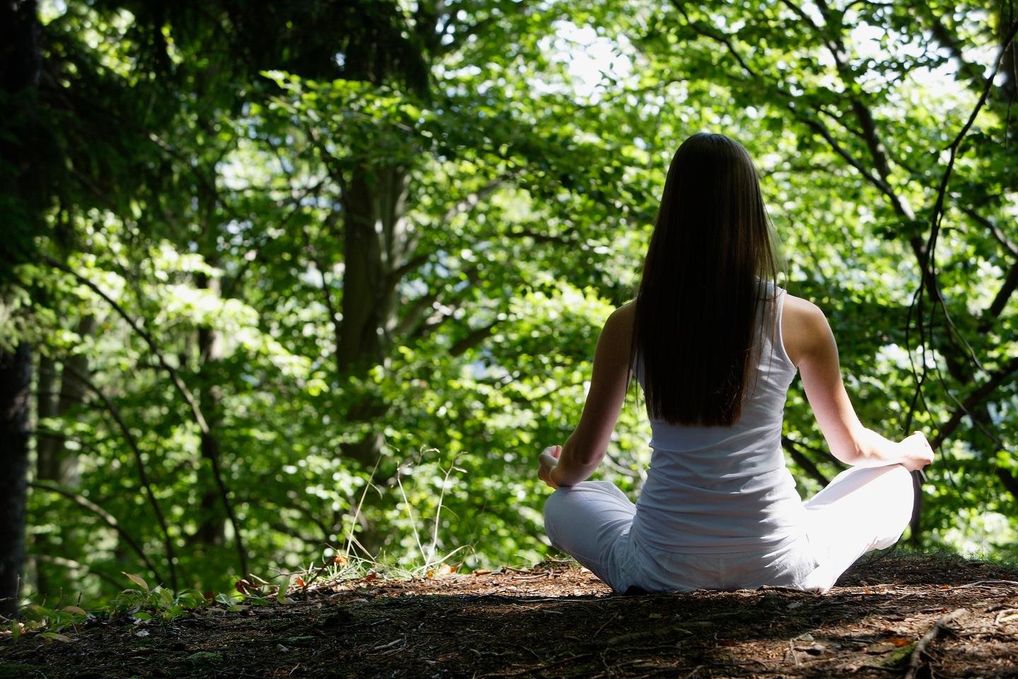 "Yoga, meditação ou aposentadoria na natureza são comportamentos puramente seculares? »»