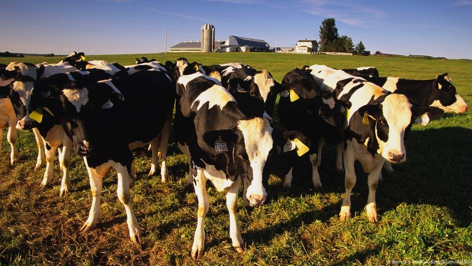 Por que os países não nos compram produtos de carne? - DW - 04/04/2025
