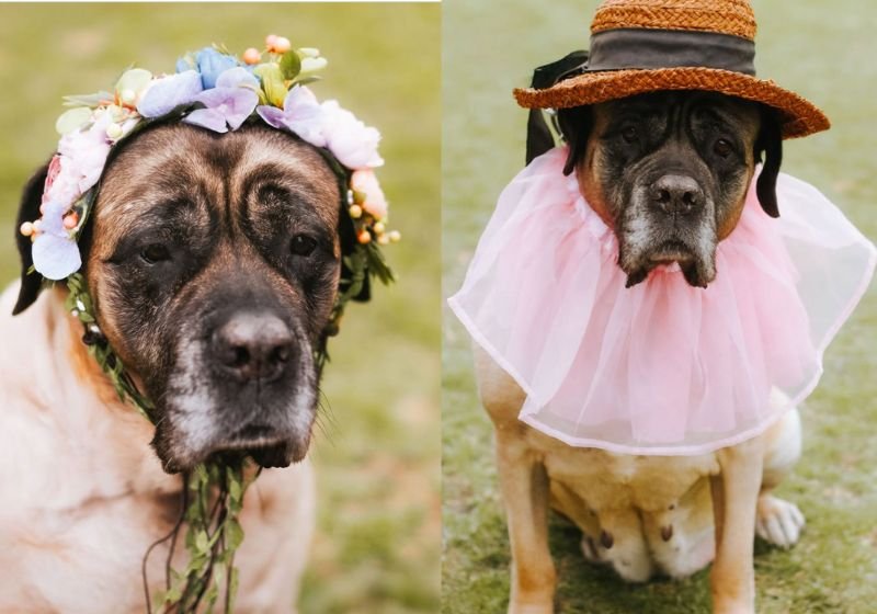Os formandos de Londrina fizeram uma homenagem linda para o zelador da faculdade e ele se emocionou. - Foto: RPC