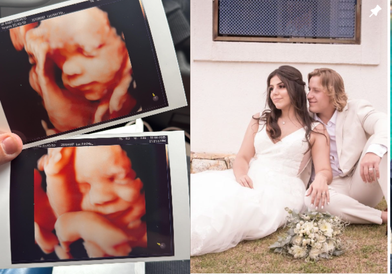 Esse cãozinho bastante ferido pediu socorro em uma delegacia no Recife (PE), com um chicote de moto no pescoço dele. Foi atendido na hora. Foto: PRF