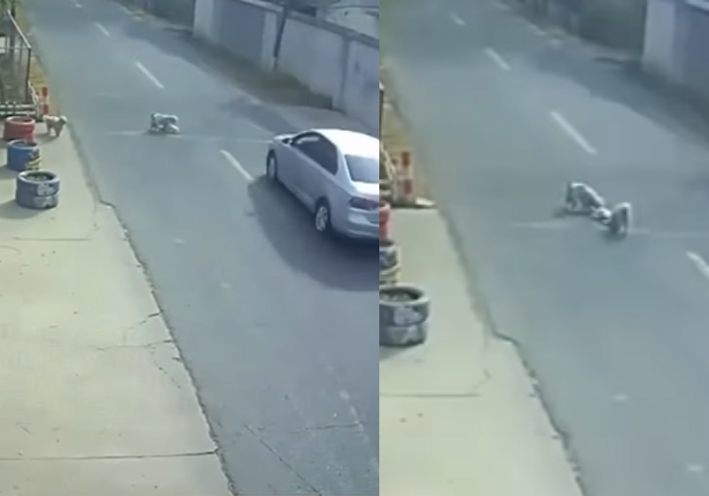 A Juliana, professora de Libras, interpreta as palavras da juíza de paz no próprio casamento para o noivo Paulo, que é surdo. Muito amor e emoção. Foto: @julibrasss