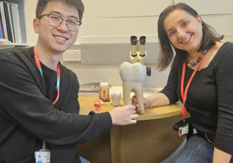 O método que recicla plástico usando a umidade do ar, e em poucas horas, foi desenvolvido pela Universidade Northwestern, nos EUA. - Foto: Freepik/IA