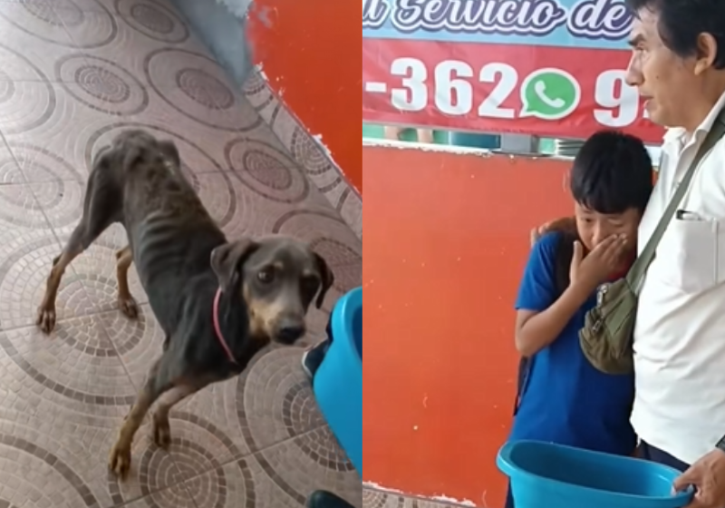 O adolescente Tyler Sowden, de 16 anos, salva uma família inteira – mãe e três crianças – de um incêndio em casa, em Cleveland, nos EUA. Foto: Spokesman