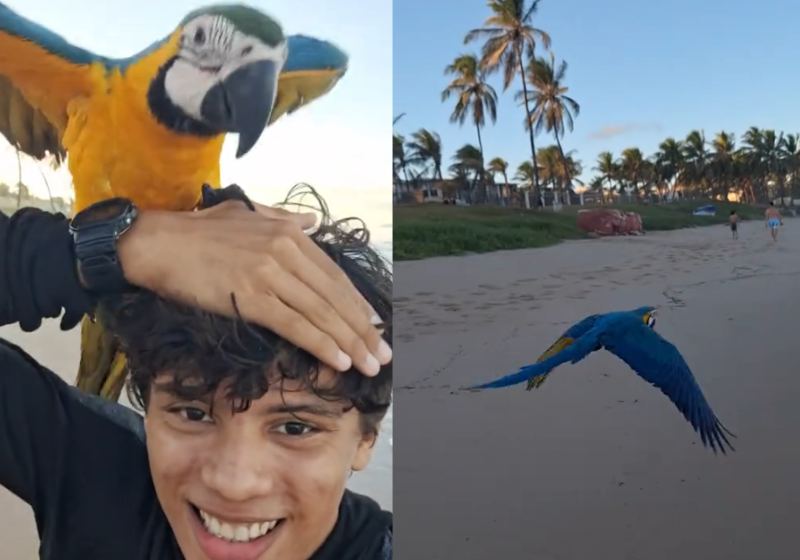 Os 520 estudantes da formatura de idosos no EJA do Piauí estão determinados: vão chamar mais pessoas para aderirem ao programa de alfabetização. - Foto: Gov.PI