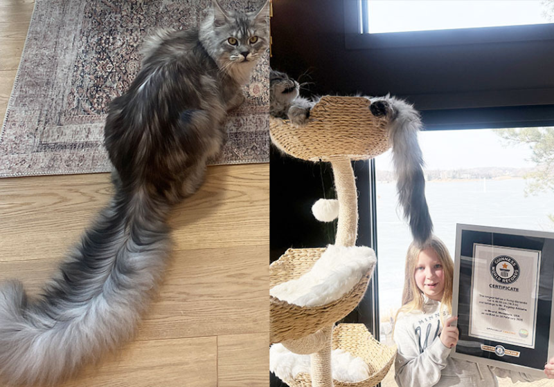 A iniciativa do médico brasileiro Leandro Brandão Guimarães, que carrega crianças vestidas de super-heróis para a sala de cirurgia, foi reconhecida internacionalmente por ser uma forma de humanizar o tratamento da saúde. Ele é de Divinópolis (MG). - Foto: @otorrino.leandro