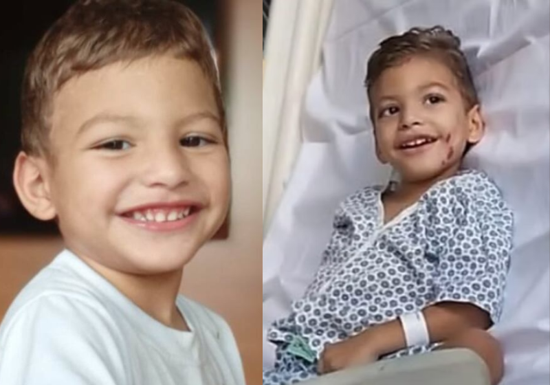 A vovó Josina, de Goiás, chorou de alegria com a surpresa dos 21 netos que chegaram na casa dela com flores e mimos para um café da tarde. - @flaviana_terra/Instagram