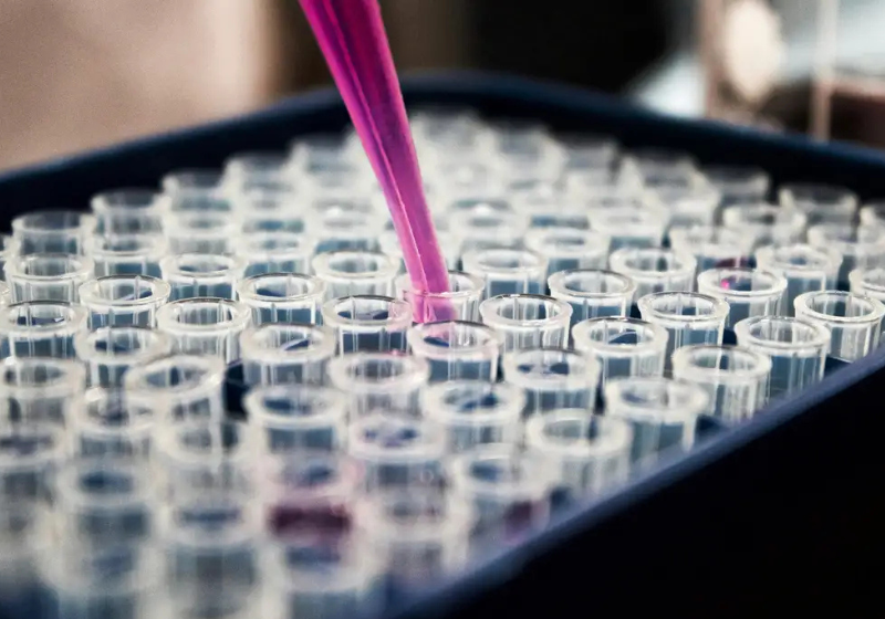 A criança que é estimulada a escrever à mão melhora o aprendizado e o raciocínio, diz um estudo alemão, que verifica o declínio das sociedades, que trocam o velho hábito da caneta, lápis e papel por teclados. - Foto: Agência Brasil