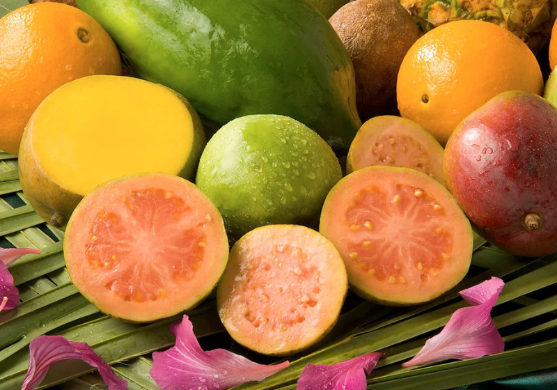 Joaquim, de 63 anos, um idoso patinador brasileiro, morador de São Paulo, ensina a curtir a vida com suas manobras e mostra que de velho não tem nada. - Foto: @o.velho.patinador