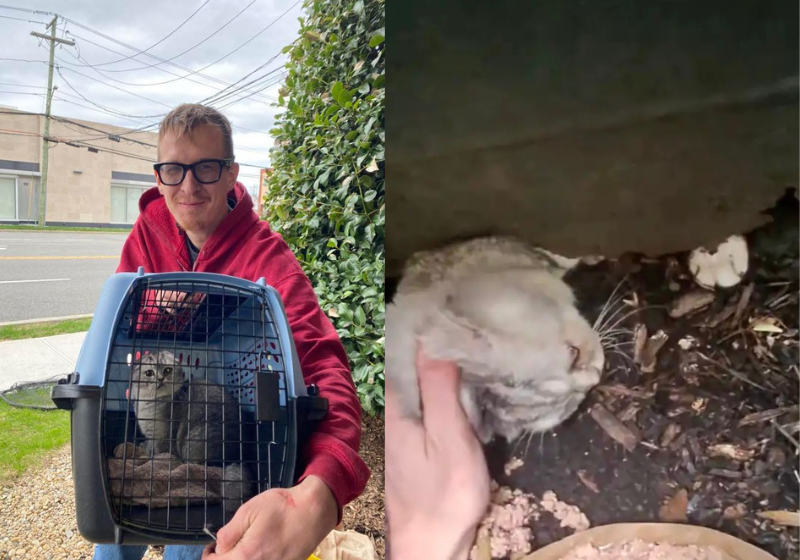 O médico do Amapá faz comedouros e bebedouros para pets. Ele usa canos de PVC! - Foto: Divulgação