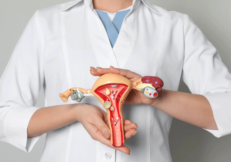 O diretor de uma escola no Peru ajudou o garotinha a alimentar a cachorrinha dele, que estava com fome. - Foto: @alimentando_callejeritos/TikTok