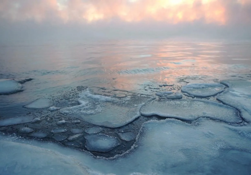 A criança autista encontrada correndo em uma rodovia movimentada nos EUA, foi salva graças a rápida ação policial. - Foto: San Diego Sheriff