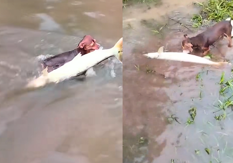 Selton Mello largou o vício do cigarro e fez uma postagem nas redes para comemorar, contar como conseguiu e inspirar outras pessoas. - Foto: Elisabetta A.Villa/Getty Images