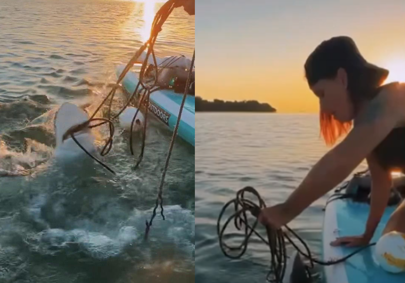 A atriz Tatá Werneck agradeceu publicamente a um entregador, chamado Lucas Rodrigues, que achou a carteira do pai dele, devolveu e recusou recompensa. Foto: Pure People