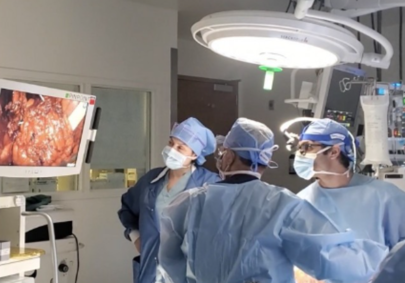 Charity Clark usou as próprias mãos para salvar um tubarão preso numa rede de pesca na Flórida (EUA). - Fotos: Cassie Bailey (via SWNS)